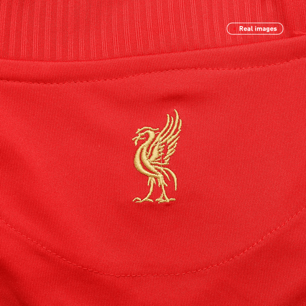 Vintage Soccer Jersey Liverpool Home 2008/09