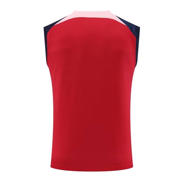 Atletico Madrid Jerseys Sleeveless Training Kit 2023/24