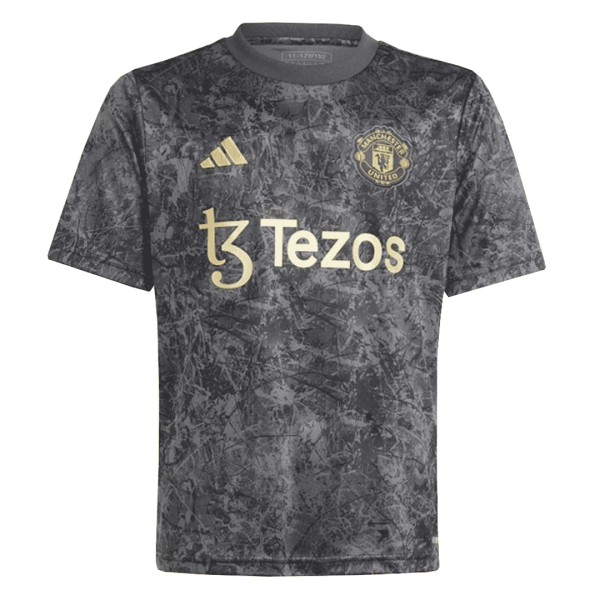 Manchester United Pre-Match Soccer Jersey 2023/24  grey