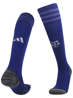 Argentina Away Soccer Socks 2022