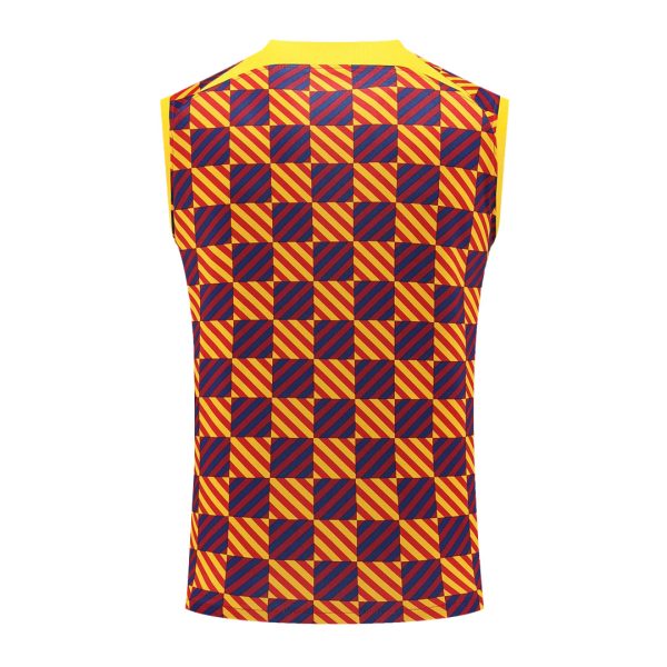 Barcelona Jerseys Sleeveless Training Kit 2023/24