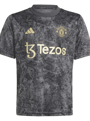 Manchester United Pre-Match Soccer Jersey 2023/24  grey