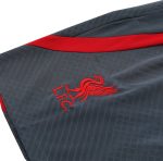 Liverpool Jerseys Sleeveless Training Kit 2023/24 Gray