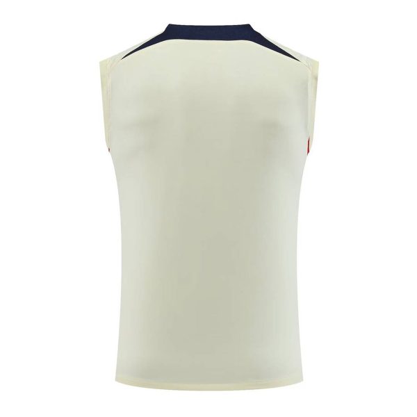 PSG Jerseys Sleeveless Training Kit 2023/24