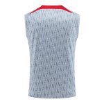 Liverpool Jerseys Sleeveless Training Kit 2023/24 Gray