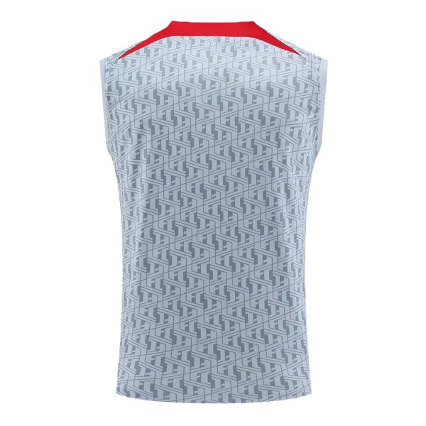 Liverpool Jerseys Sleeveless Training Kit 2023/24 Gray