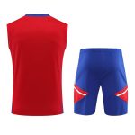 Bayern Munich Jerseys Sleeveless Training Kit 2023/24 Red