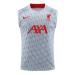 Liverpool Jerseys Sleeveless Training Kit 2023/24 Gray