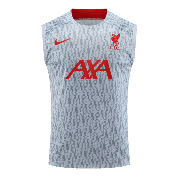 Liverpool Jerseys Sleeveless Training Kit 2023/24 Gray