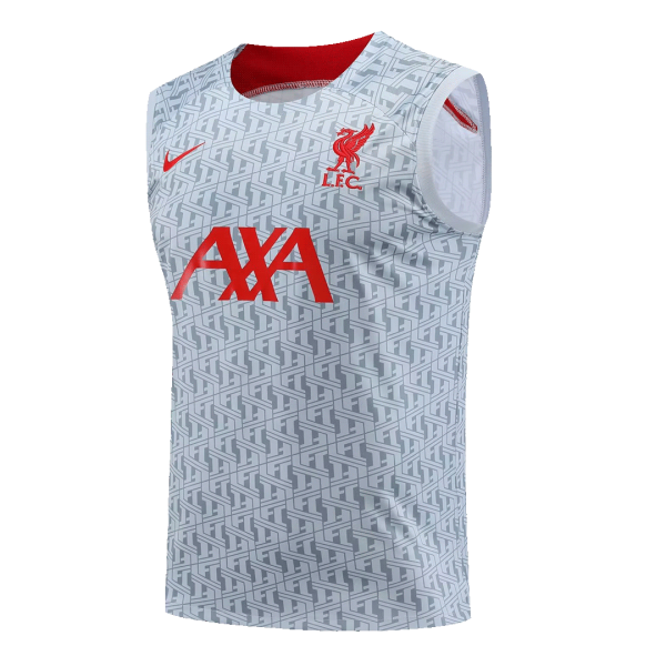 Liverpool Jerseys Sleeveless Training Kit 2023/24 Gray