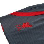 Liverpool Jerseys Sleeveless Training Kit 2023/24 Blue