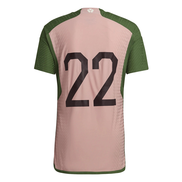 Japan Special Authentic Jersey 2022