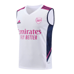 Arsenal Jerseys Sleeveless Training Kit 2023/24