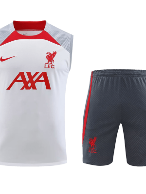 Liverpool Jerseys Sleeveless Training Kit 2023/24 White&Gray