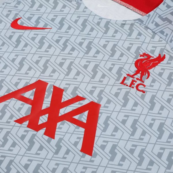 Liverpool Jerseys Sleeveless Training Kit 2023/24 Gray