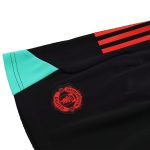 Manchester United Jerseys Sleeveless Training Kit 2023/24